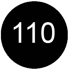 Чёрный № 110